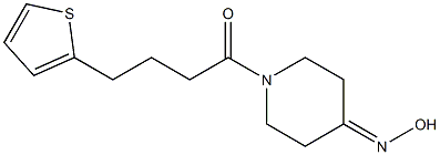 1-(4-thien-2-ylbutanoyl)piperidin-4-one oxime Structure