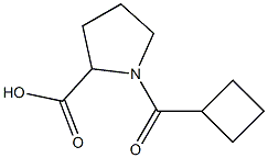 1-(cyclobutylcarbonyl)pyrrolidine-2-carboxylic acid Structure