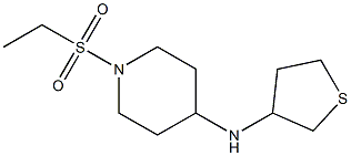 1-(ethanesulfonyl)-N-(thiolan-3-yl)piperidin-4-amine 구조식 이미지