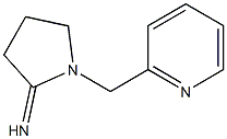 1-(pyridin-2-ylmethyl)pyrrolidin-2-imine 구조식 이미지