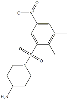1-[(2,3-dimethyl-5-nitrobenzene)sulfonyl]piperidin-4-amine Structure