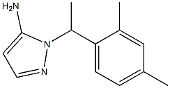 1-[1-(2,4-dimethylphenyl)ethyl]-1H-pyrazol-5-amine 구조식 이미지