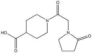 1-[2-(2-oxopyrrolidin-1-yl)acetyl]piperidine-4-carboxylic acid Structure