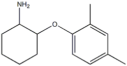 2-(2,4-dimethylphenoxy)cyclohexan-1-amine 구조식 이미지
