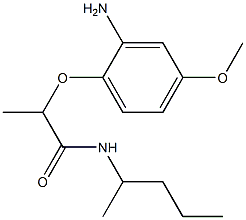 2-(2-amino-4-methoxyphenoxy)-N-(pentan-2-yl)propanamide Structure