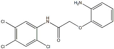 2-(2-aminophenoxy)-N-(2,4,5-trichlorophenyl)acetamide Structure