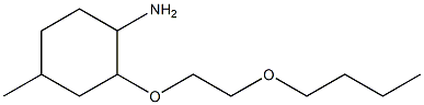 2-(2-butoxyethoxy)-4-methylcyclohexan-1-amine Structure