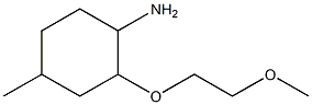 2-(2-methoxyethoxy)-4-methylcyclohexan-1-amine 구조식 이미지