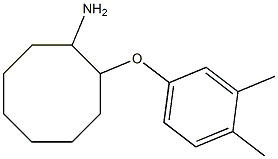 2-(3,4-dimethylphenoxy)cyclooctan-1-amine 구조식 이미지