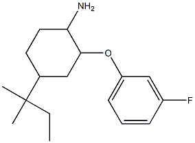2-(3-fluorophenoxy)-4-(2-methylbutan-2-yl)cyclohexan-1-amine Structure