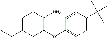 2-(4-tert-butylphenoxy)-4-ethylcyclohexan-1-amine 구조식 이미지