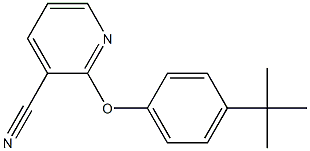2-(4-tert-butylphenoxy)pyridine-3-carbonitrile 구조식 이미지