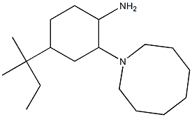 2-(azocan-1-yl)-4-(2-methylbutan-2-yl)cyclohexan-1-amine 구조식 이미지