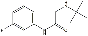 2-(tert-butylamino)-N-(3-fluorophenyl)acetamide 구조식 이미지