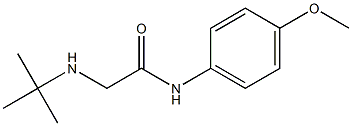 2-(tert-butylamino)-N-(4-methoxyphenyl)acetamide 구조식 이미지