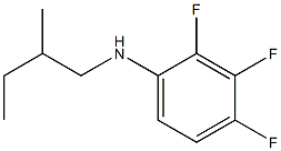 2,3,4-trifluoro-N-(2-methylbutyl)aniline Structure