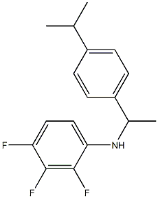 2,3,4-trifluoro-N-{1-[4-(propan-2-yl)phenyl]ethyl}aniline Structure