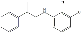 2,3-dichloro-N-(2-phenylpropyl)aniline 구조식 이미지