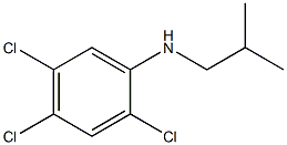 2,4,5-trichloro-N-(2-methylpropyl)aniline Structure