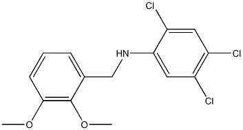 2,4,5-trichloro-N-[(2,3-dimethoxyphenyl)methyl]aniline Structure