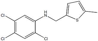 2,4,5-trichloro-N-[(5-methylthiophen-2-yl)methyl]aniline 구조식 이미지