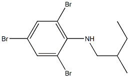 2,4,6-tribromo-N-(2-methylbutyl)aniline 구조식 이미지