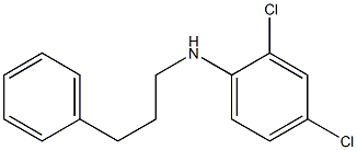 2,4-dichloro-N-(3-phenylpropyl)aniline 구조식 이미지