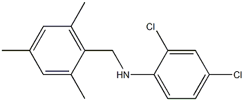 2,4-dichloro-N-[(2,4,6-trimethylphenyl)methyl]aniline 구조식 이미지