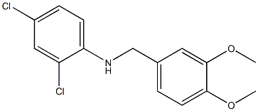 2,4-dichloro-N-[(3,4-dimethoxyphenyl)methyl]aniline Structure