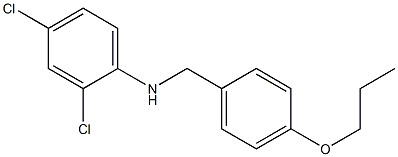 2,4-dichloro-N-[(4-propoxyphenyl)methyl]aniline Structure