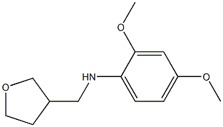 2,4-dimethoxy-N-(oxolan-3-ylmethyl)aniline 구조식 이미지