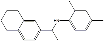 2,4-dimethyl-N-[1-(5,6,7,8-tetrahydronaphthalen-2-yl)ethyl]aniline Structure