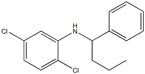 2,5-dichloro-N-(1-phenylbutyl)aniline 구조식 이미지