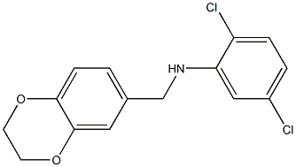 2,5-dichloro-N-(2,3-dihydro-1,4-benzodioxin-6-ylmethyl)aniline 구조식 이미지