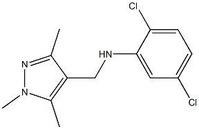 2,5-dichloro-N-[(1,3,5-trimethyl-1H-pyrazol-4-yl)methyl]aniline 구조식 이미지