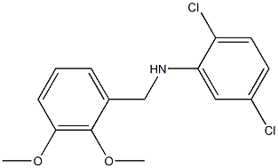 2,5-dichloro-N-[(2,3-dimethoxyphenyl)methyl]aniline Structure