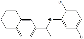 2,5-dichloro-N-[1-(5,6,7,8-tetrahydronaphthalen-2-yl)ethyl]aniline 구조식 이미지