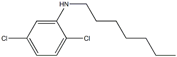 2,5-dichloro-N-heptylaniline 구조식 이미지