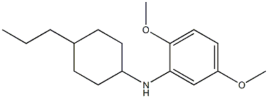 2,5-dimethoxy-N-(4-propylcyclohexyl)aniline 구조식 이미지