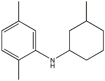 2,5-dimethyl-N-(3-methylcyclohexyl)aniline 구조식 이미지