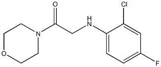2-[(2-chloro-4-fluorophenyl)amino]-1-(morpholin-4-yl)ethan-1-one 구조식 이미지
