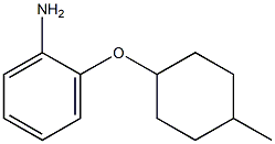 2-[(4-methylcyclohexyl)oxy]aniline Structure