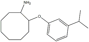 2-[3-(propan-2-yl)phenoxy]cyclooctan-1-amine Structure