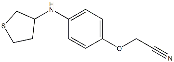 2-[4-(thiolan-3-ylamino)phenoxy]acetonitrile Structure