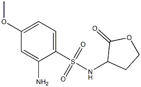 2-amino-4-methoxy-N-(2-oxooxolan-3-yl)benzene-1-sulfonamide 구조식 이미지