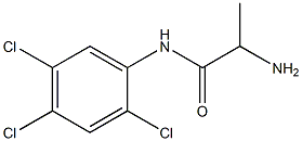 2-amino-N-(2,4,5-trichlorophenyl)propanamide Structure
