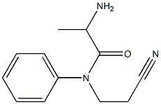 2-amino-N-(2-cyanoethyl)-N-phenylpropanamide 구조식 이미지