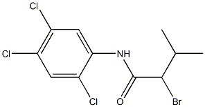 2-bromo-3-methyl-N-(2,4,5-trichlorophenyl)butanamide 구조식 이미지