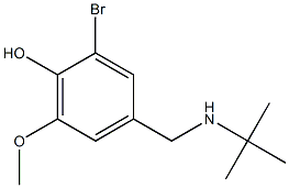 2-bromo-4-[(tert-butylamino)methyl]-6-methoxyphenol Structure