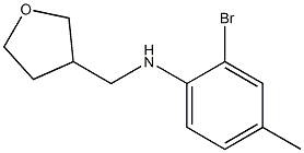 2-bromo-4-methyl-N-(oxolan-3-ylmethyl)aniline 구조식 이미지